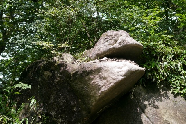 ガマの油のイメージとしてのガマ石